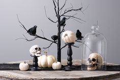 a table topped with fake skulls and pumpkins next to a glass clochel