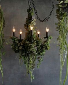 a chandelier with candles and greenery hanging from it's sides in front of a gray wall