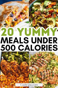 20 yummy meals under 500 calories that are easy to make and delicious for the whole family