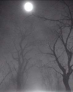 a foggy night with the moon in the distance and trees on the other side