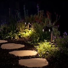 a garden path lit up at night with flowers and plants in the backround