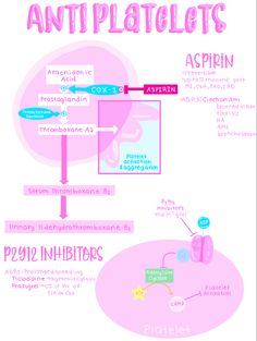 the anatomy of an animal's body and its functions infographical diagram for kids