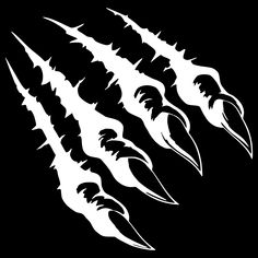 black and white image of claws on a black background, for use in tattoo or t - shirt designs