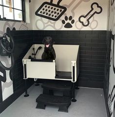 a black dog sitting at a desk in a room with white walls and flooring