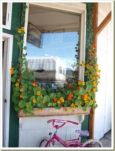 a bicycle is parked in front of a window with flowers growing on the side of it