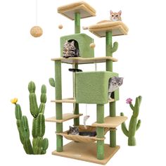 two cats sitting on top of a cat tree in front of cacti and succulents