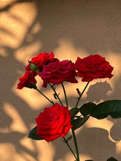 three red roses sitting in a vase on a table with the shadow of a wall behind them