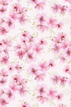 pink flowers on a white background