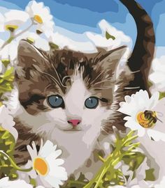 a cat with blue eyes is in the daisies