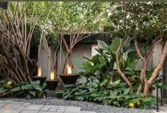 an outdoor area with plants and lights in the center, surrounded by stone pavers