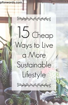 some potted plants with the words 15 cheap ways to live a more sustainable life