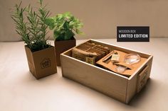 a wooden box filled with assorted items next to a potted plant on top of a table