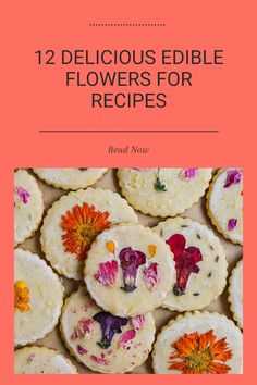 twelve delicious edible flowers for desserts with the title, 12 delicious edible flowers for recipes