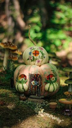 a group of pumpkins sitting on top of a forest floor covered in grass and mushrooms