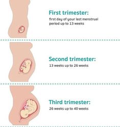 the stages of breasting info for pregnants and their babies, including birth dates