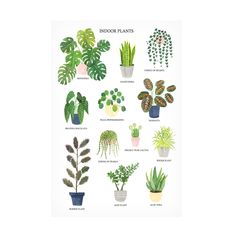 a poster with different kinds of house plants