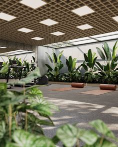 an indoor gym with plants and exercise mats