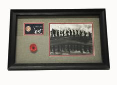 a black and white photo with a red poppy in front of the picture is framed