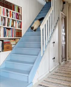 there is a cat that is climbing up the stairs in this house with bookshelves