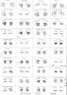 the eye chart shows different types of eyes and how they are used to draw them