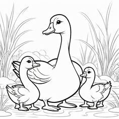 three ducks in the water coloring page