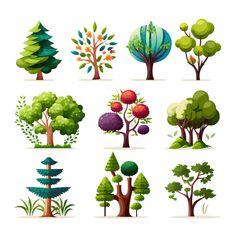 different types of trees and shrubs in various stages of growth on a white background illustration