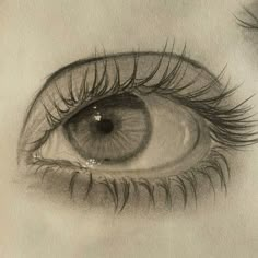 a pencil drawing of an eye with long lashes and brown eyeshade, looking down at the viewer