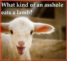 a sheep with its mouth open and the words what kind of an ashole eats a lamb?