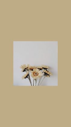 some white and brown flowers are in a vase