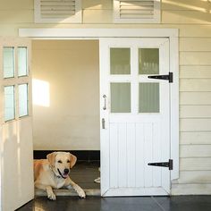 a dog laying on the floor in front of a door