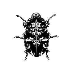 a black and white drawing of a beetle with ornate designs on it's back