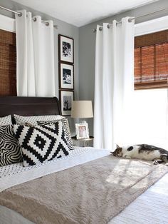 a cat laying on top of a bed next to two windows with white drapes