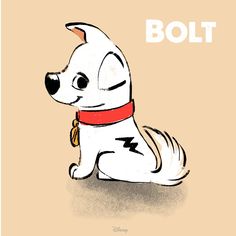 a white dog with a red collar sitting next to the word bolt on it's chest