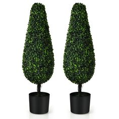 two potted plants are shown in front of each other, one is shaped like a tree