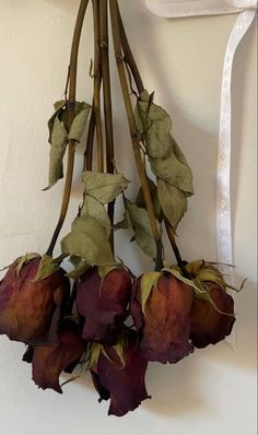 dried flowers hanging from a hook on a wall