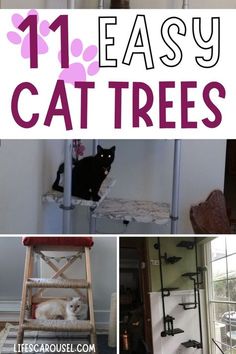 Cat Trees Diy Easy, Cat Room Diy, Cat Trees Homemade, Cool Cat Trees, Cat Tree House