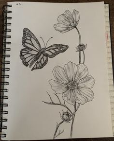 a drawing of a butterfly on a flower