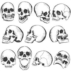 the different types of skulls are shown in black and white