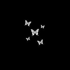 four white butterflies are flying in the dark, and one is on top of the other