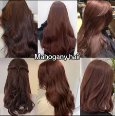 Gold Mahogany Brown Hair, Best Hair Colors For Tan Skin, Hair Colors For Warm Undertones, Brown With Red Undertones, Mahogany Hair Color, Hair Color Mahogany, Mahogany Hair, Red Hair Inspo, Wine Hair