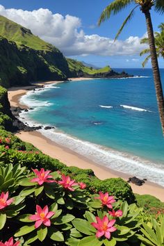 the beach is lined with pink flowers and palm trees, along with blue water in the background