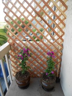 two potted plants sitting on top of a wooden table next to a wall with lattice design