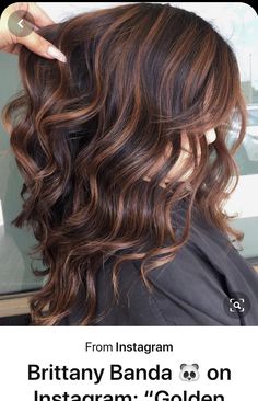 Brown Hair Trends, Brown Hair Shades, Fall Hair Color Trends, Hair Color Light Brown, Caramel Highlights, Hair Done, Dark Brown Hair