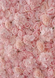 pink flowers are arranged in the shape of a flower wall, as if they were made out of roses