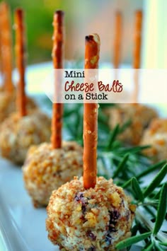 mini cheese balls on a stick with rosemary sprigs for garnishes