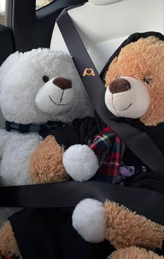 two teddy bears sitting in the back seat of a car