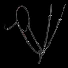 the bridle is attached to an adjustable strap and has two hooks on each side