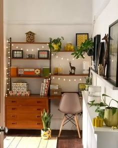 a room with wooden floors and shelves filled with plants on top of them, next to a chair