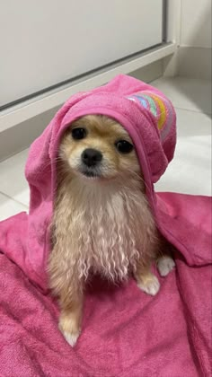 a small dog sitting on top of a pink towel covered in a hoodie and looking at the camera