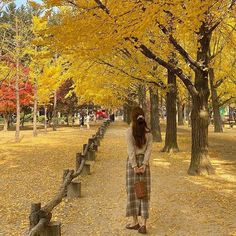 a woman standing in the middle of a park under trees with yellow leaves on them